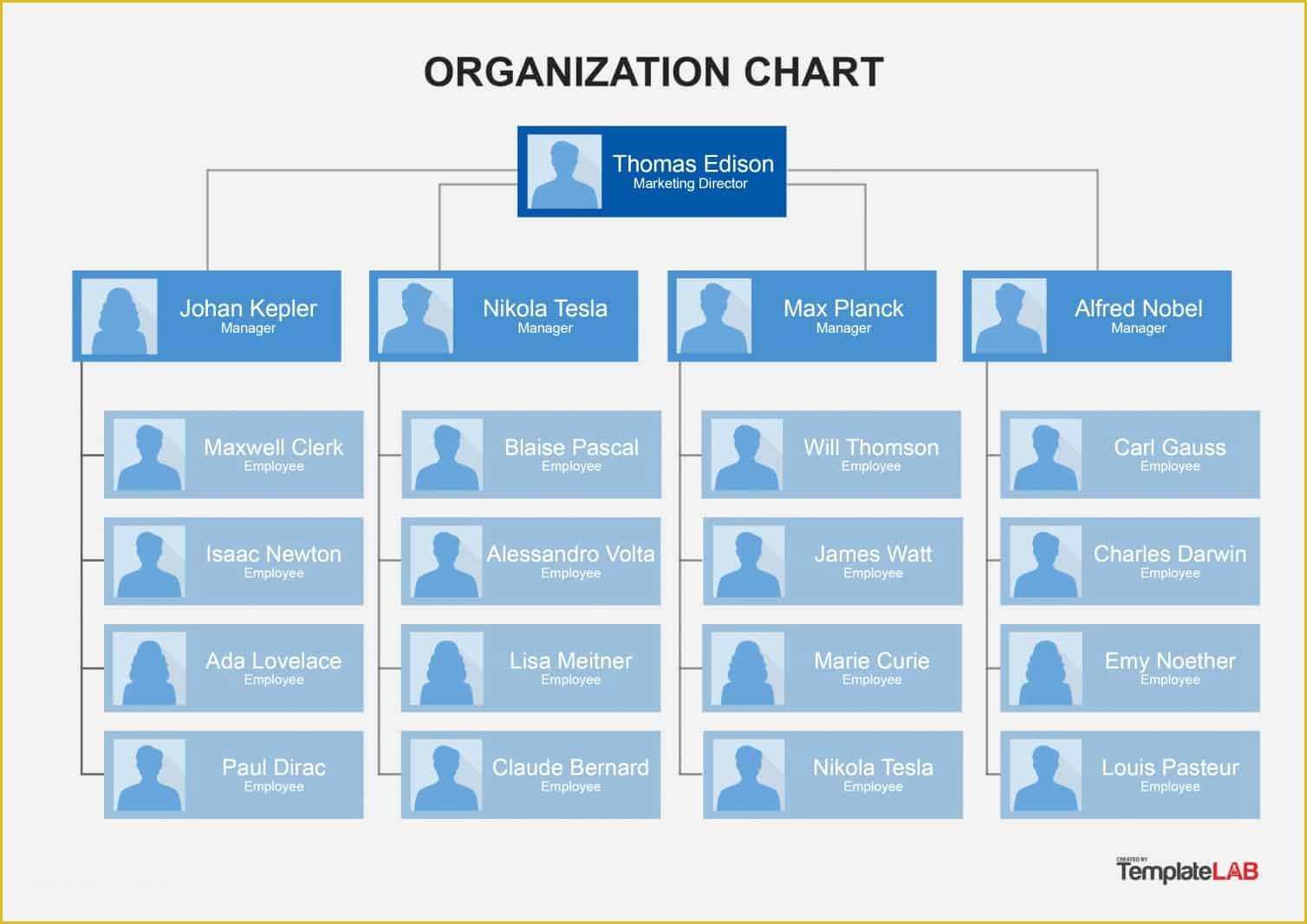 Free Organizational Chart Template Of Organizational Chart Templates