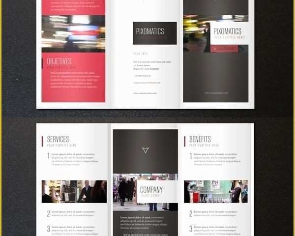 Sample brochure 3 fold