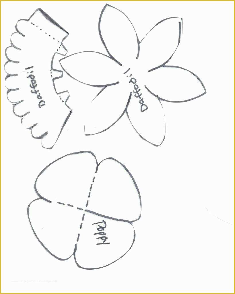 5 Petal Flower Template Free Printable Of 5 Petal Flower Template ...