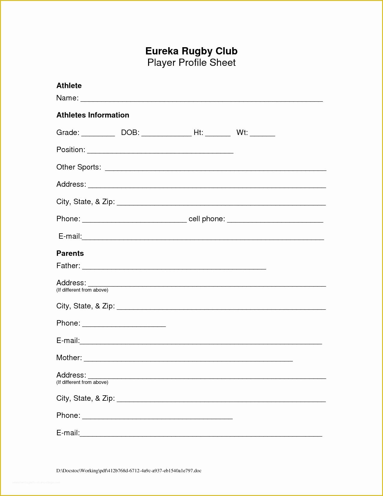 Printable Blank Player Profile Template