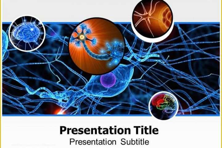 Free Neurology Powerpoint Templates Of Neurology Powerpoint Template is Widely Used for