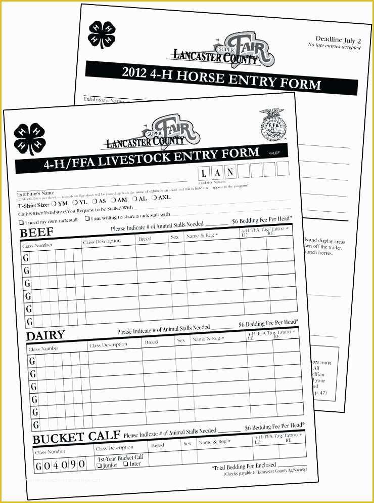 Printable Contest Entry Form Template Printable Blank World