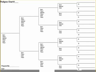 Free Rabbit Pedigree Template Of 3 Best Of Print Blank Pedigree Chart ...