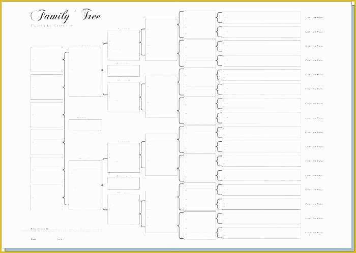 Free Rabbit Pedigree Template Of A Free Printable Family Tree Chart for Four Generations