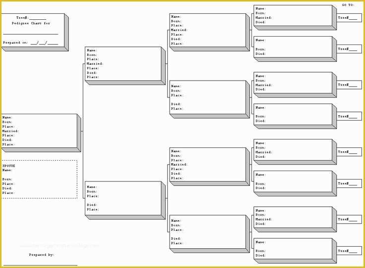 Printable Blank Rabbit Pedigree Template Printable Templates