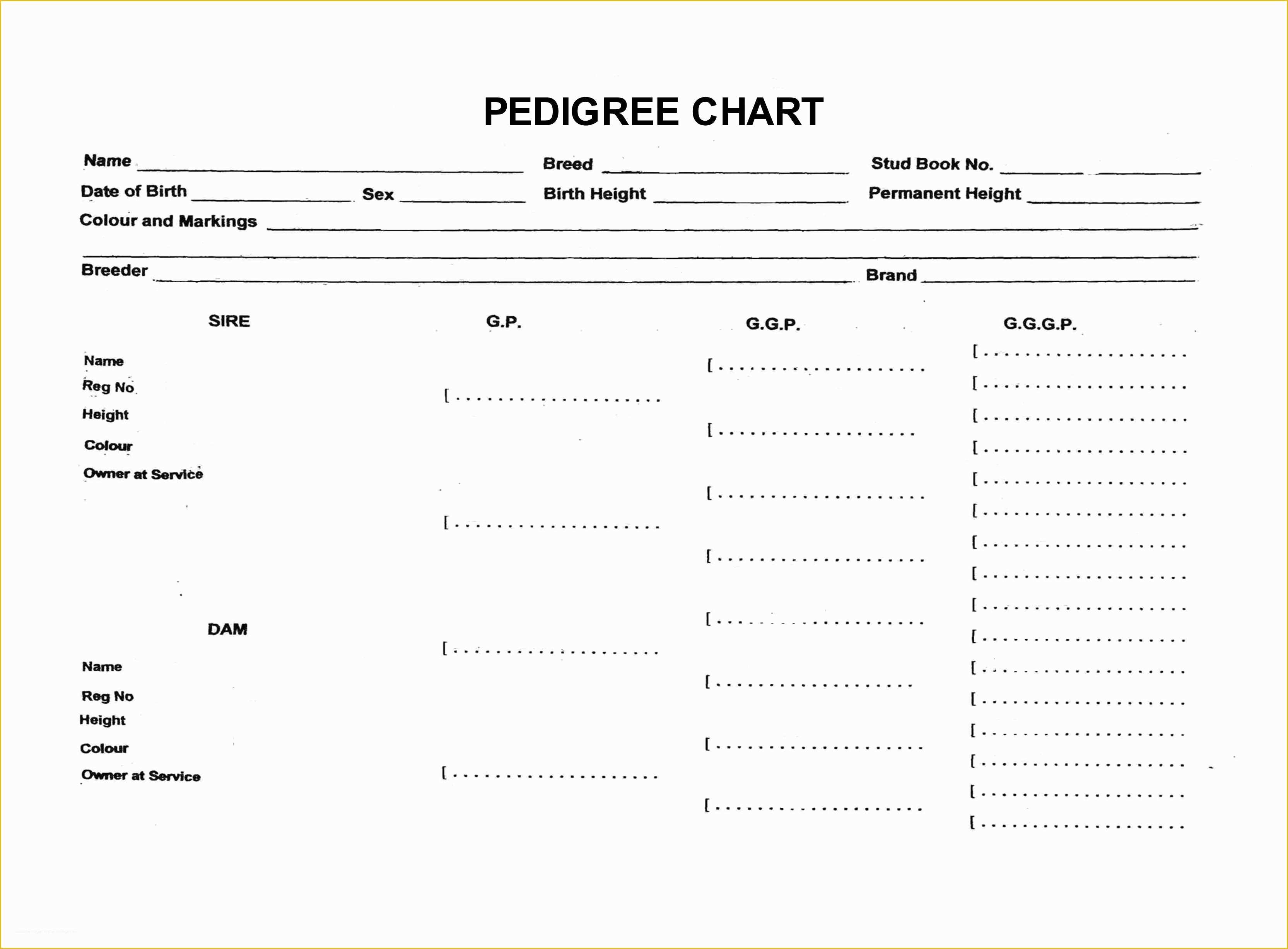 Printable Blank Rabbit Pedigree Template - Printable Templates