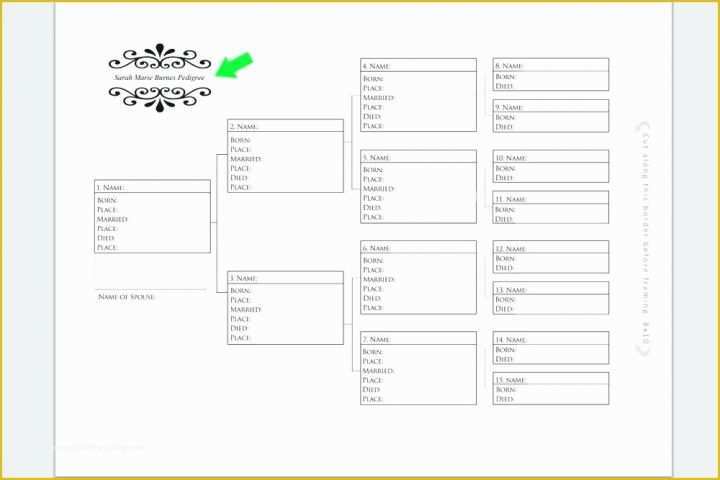 free printable raffle ticket template download