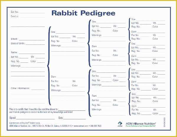 Free Rabbit Pedigree Template Of Rabbit Pedigree Blank Chart Rabbits 