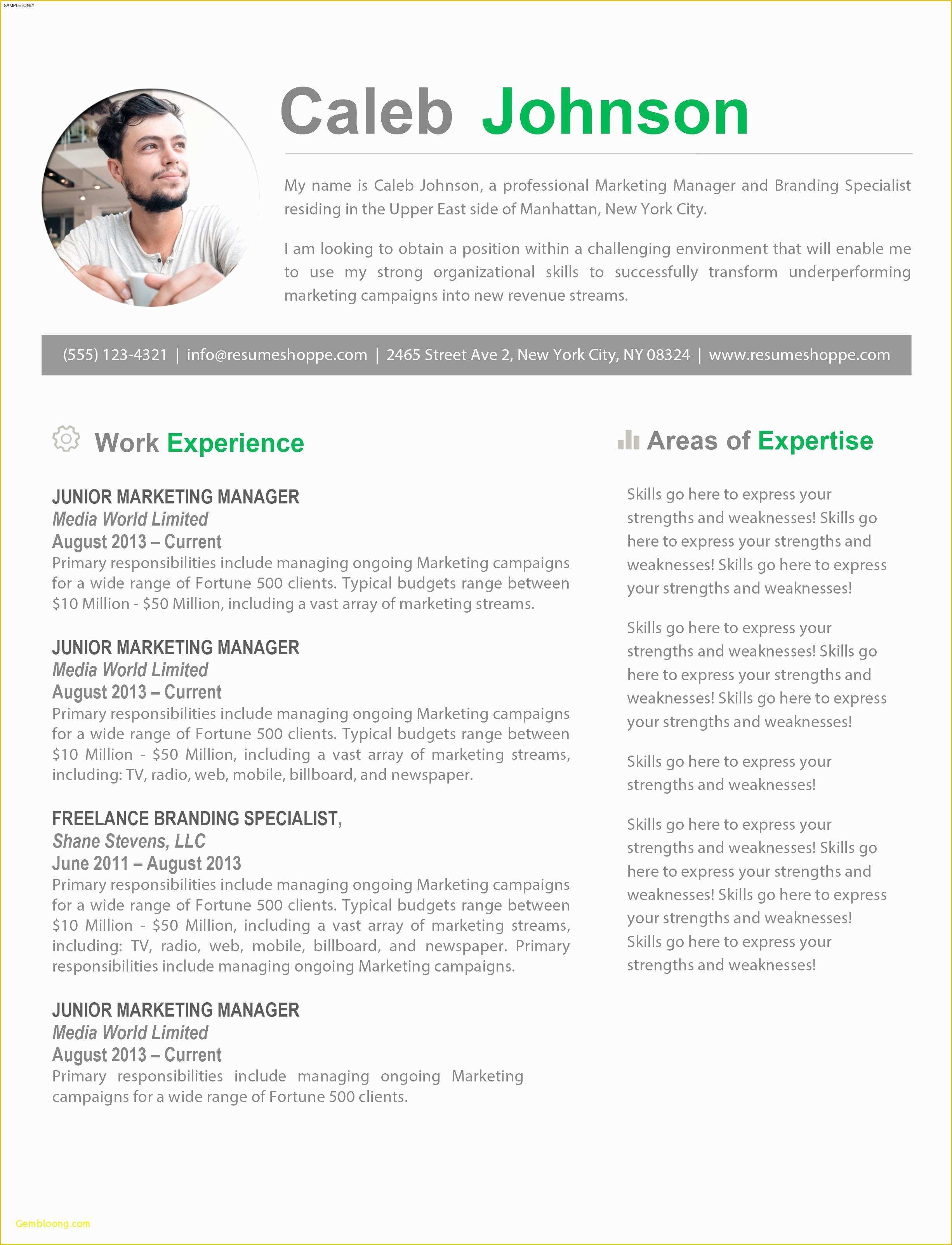 Mac Pages Templates Free Download Of Apple Pages Resume Template 