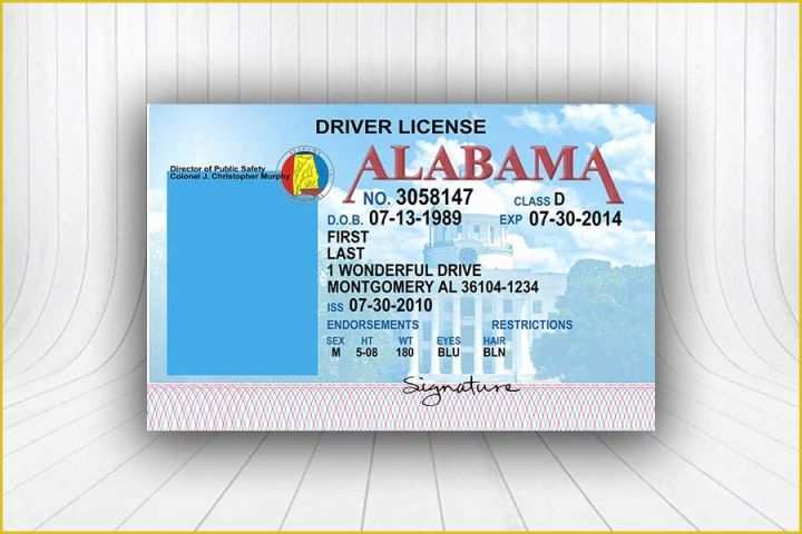 alabama drivers license template download free