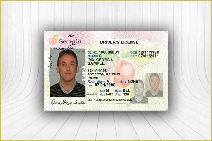 georgia drivers license template