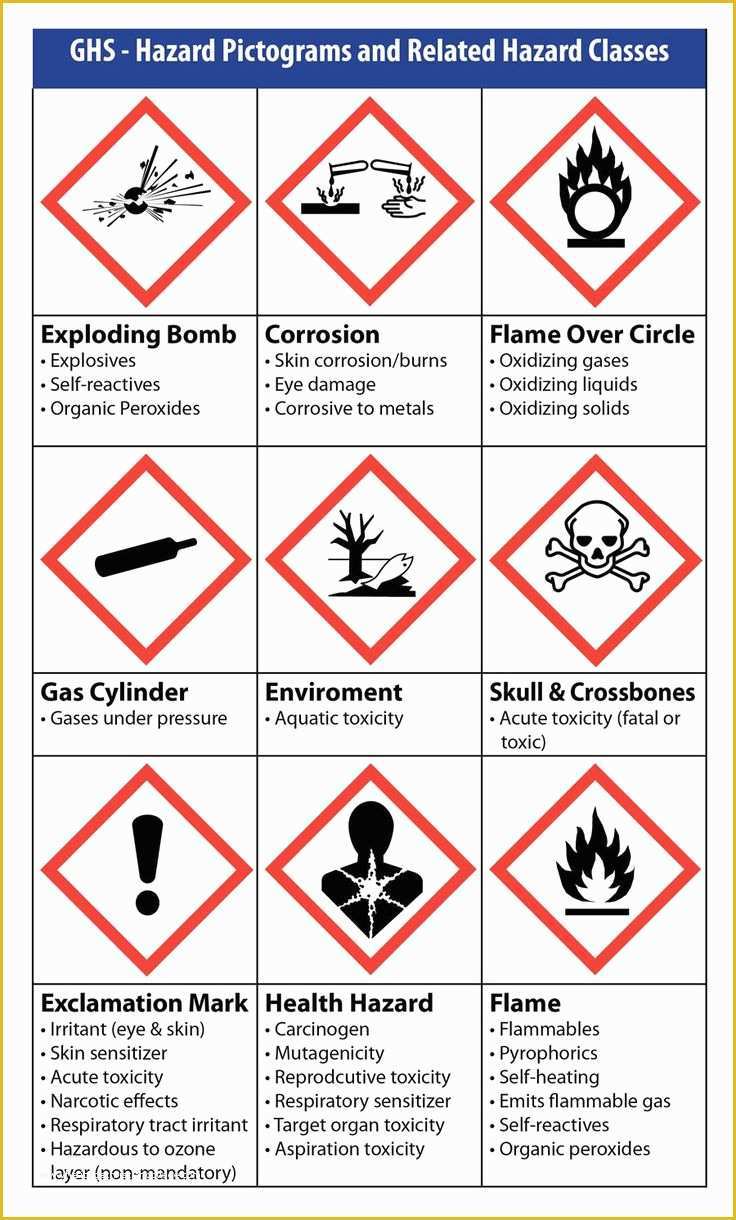 Free Printable Chemical Labels Printable Blank World