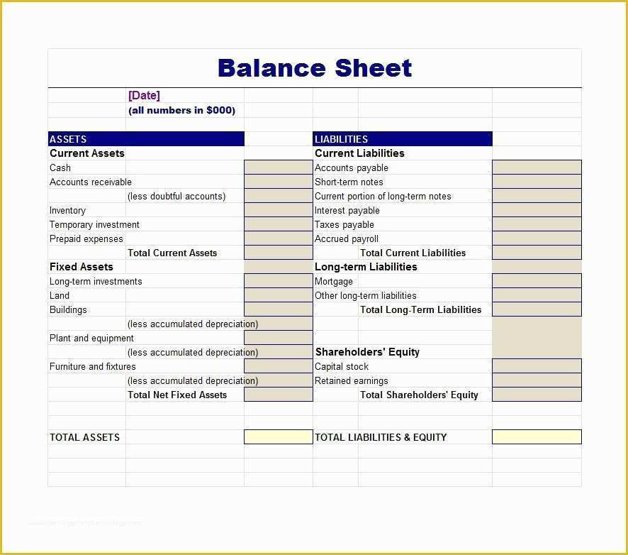 Assets And Liabilities Template Free Download Of Free Balance Sheet 