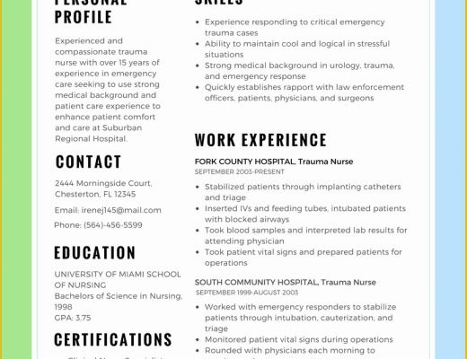 Best Resume Templates 2017 Free Of Resume Best format for Nurses 2018