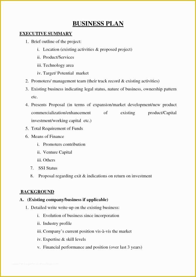 Cleaning Business Plan Template Free