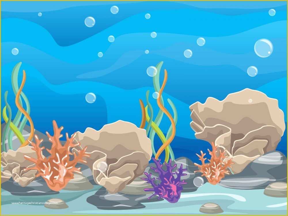 Coral Reef Template