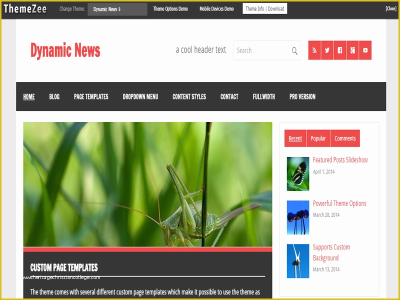  Dynamic Responsive Website Templates Free Download Of Dynamic News Free 