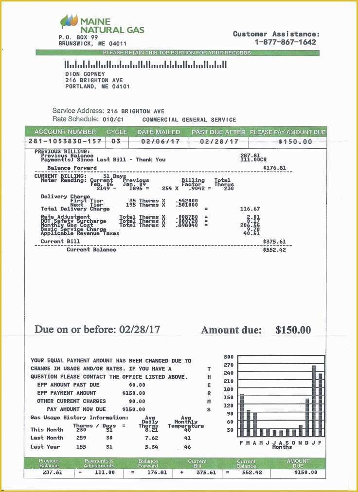 Fake Utility Bill Template Free Of Utility Bill Statement Monthly 