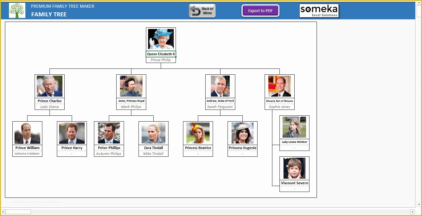 family tree maker person tab notes