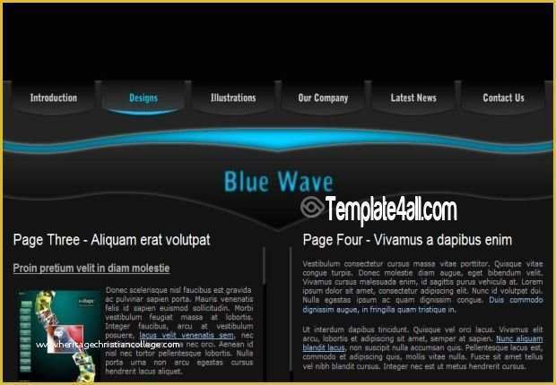 Flash Portfolio Templates Free Download Of Cooking Flash Website 