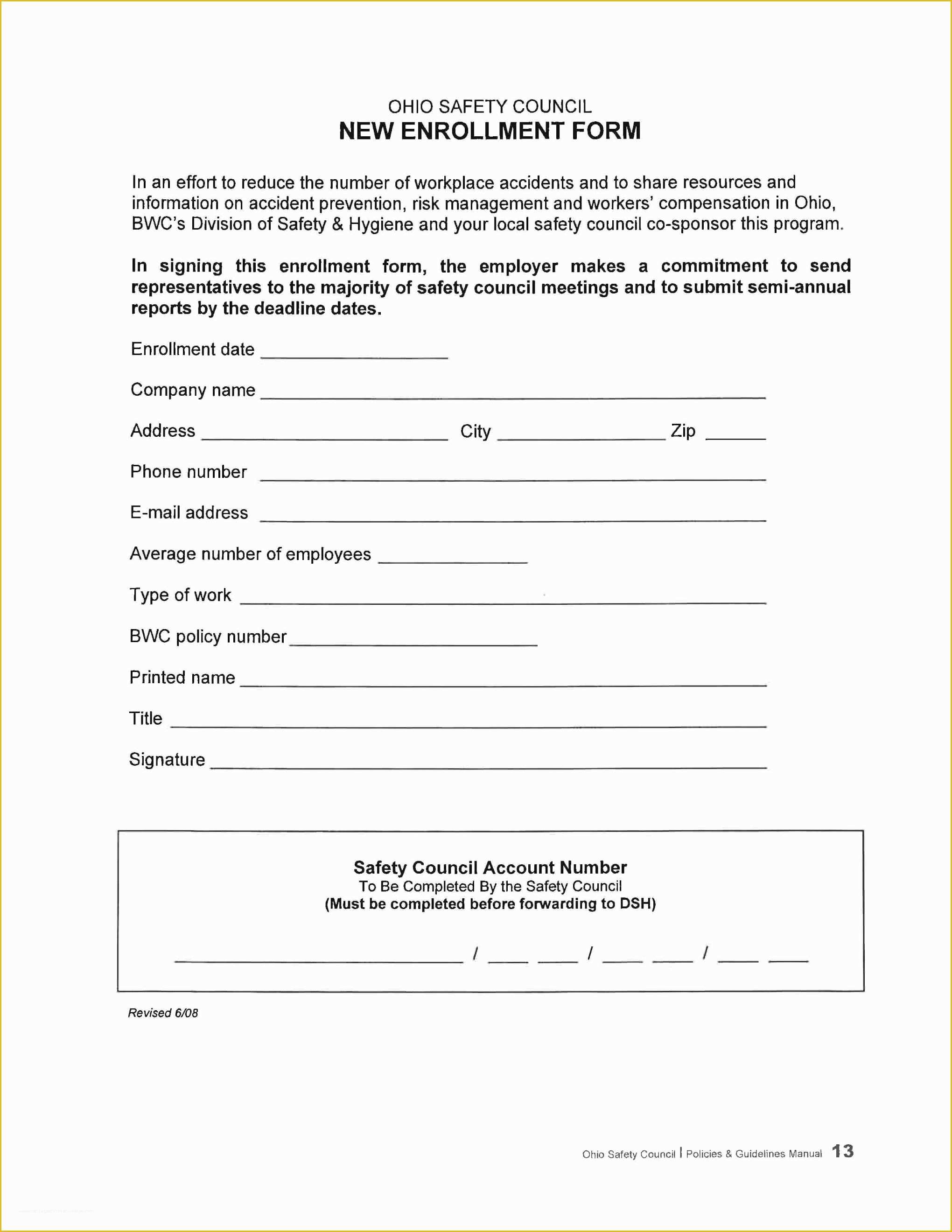 free-501c3-business-plan-template-of-501c3-form-sample