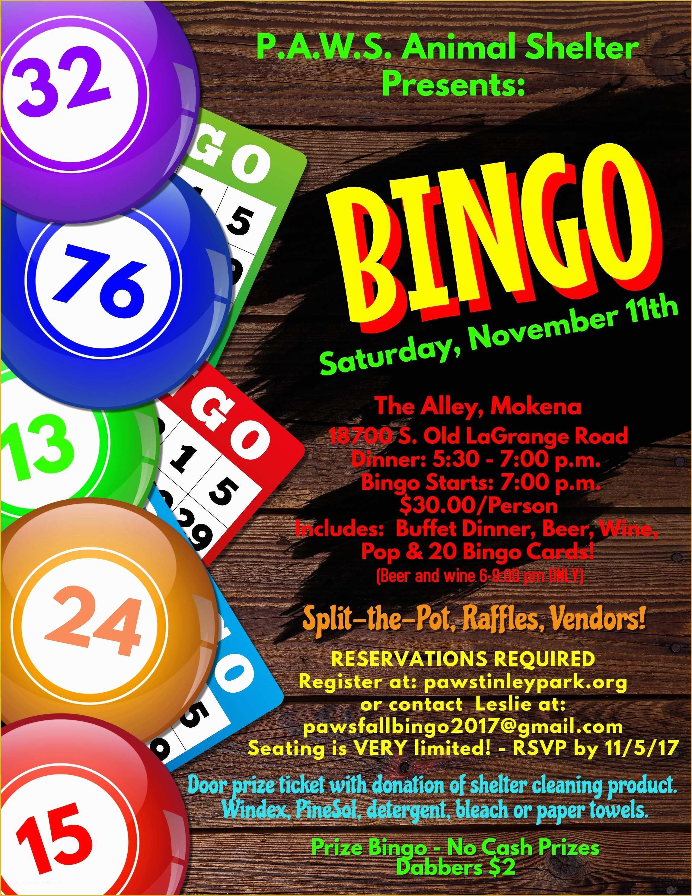 Free Bingo Flyer Template Word Free Download