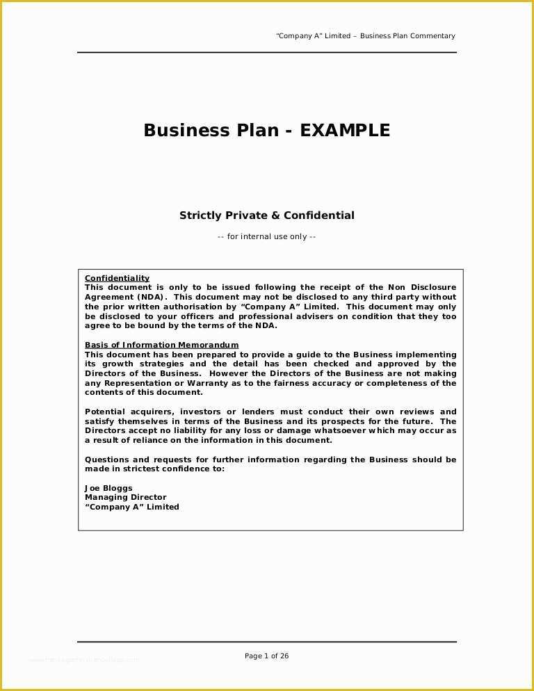 Free Business Plan Template Doc Of Business Plan Sample Great Example 