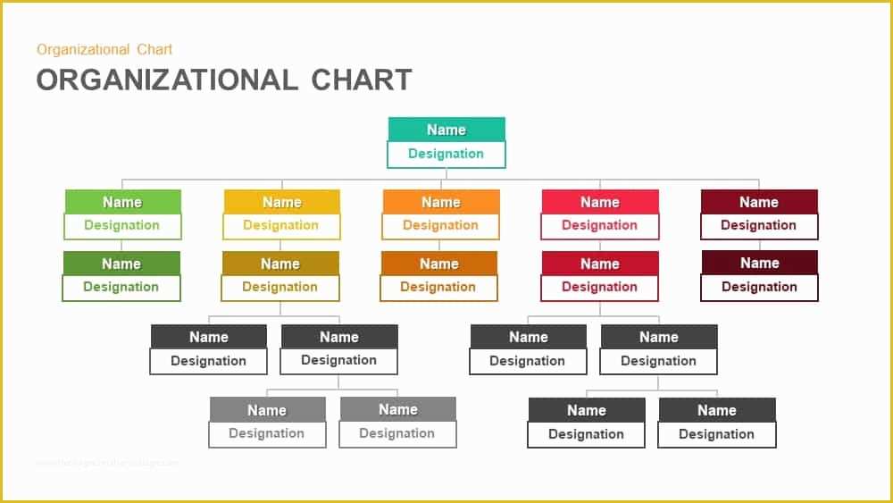 Free Church Organizational Chart Template Of Organizational Chart 