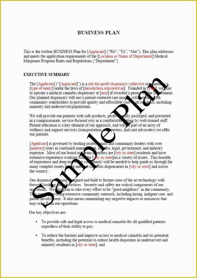 Free Dispensary Security Plan Template Of Free Printable Business Plan 