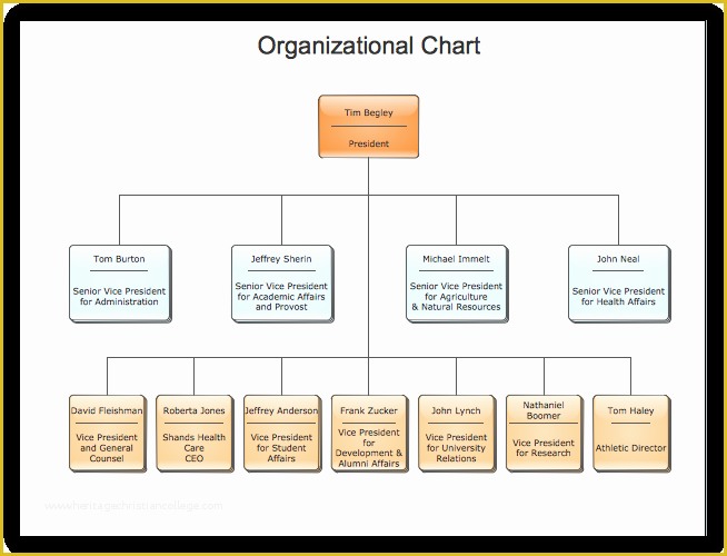 Free Easy organizational Chart Template Of 25 Best Free organizational ...