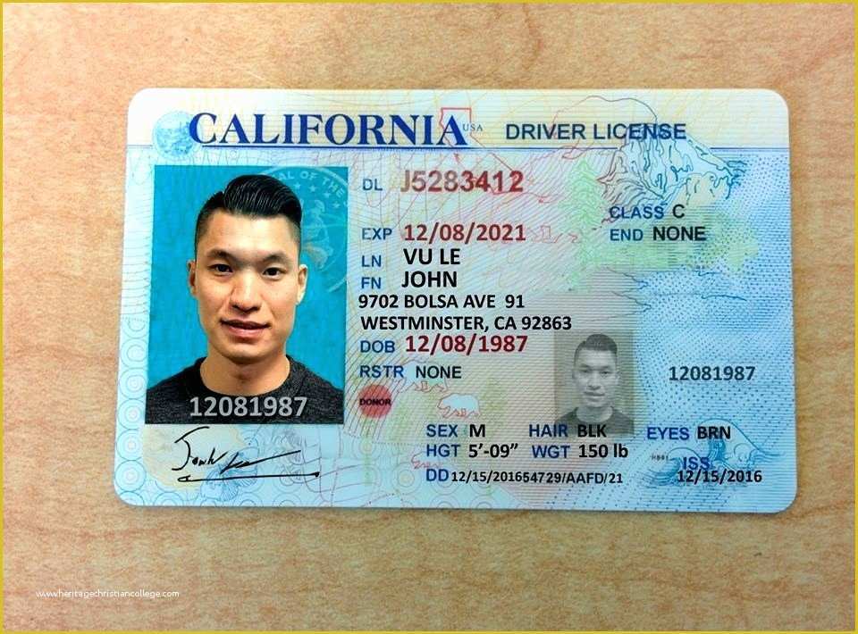 Free Fake Id Templates Online Of Free Printable Licenses And Id Cards