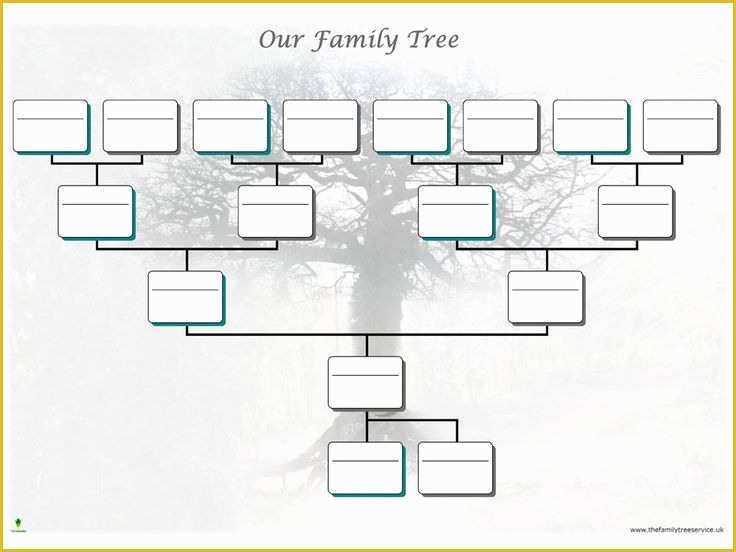 family history book template word