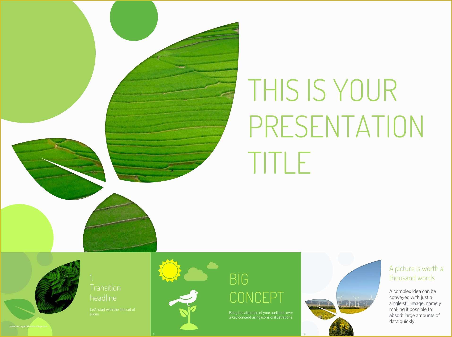 Free Animated Google Slides Templates