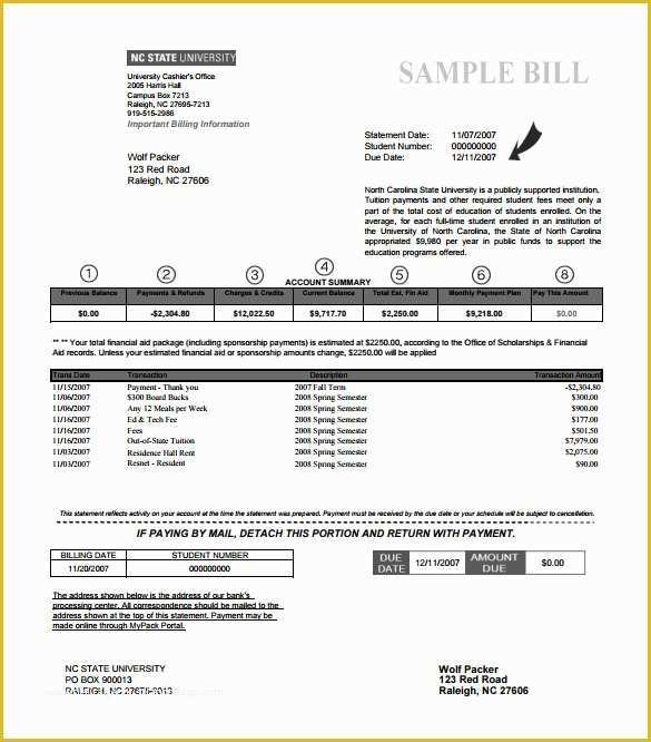 Free Printable Billing Statement Template Of Invoice Statement 