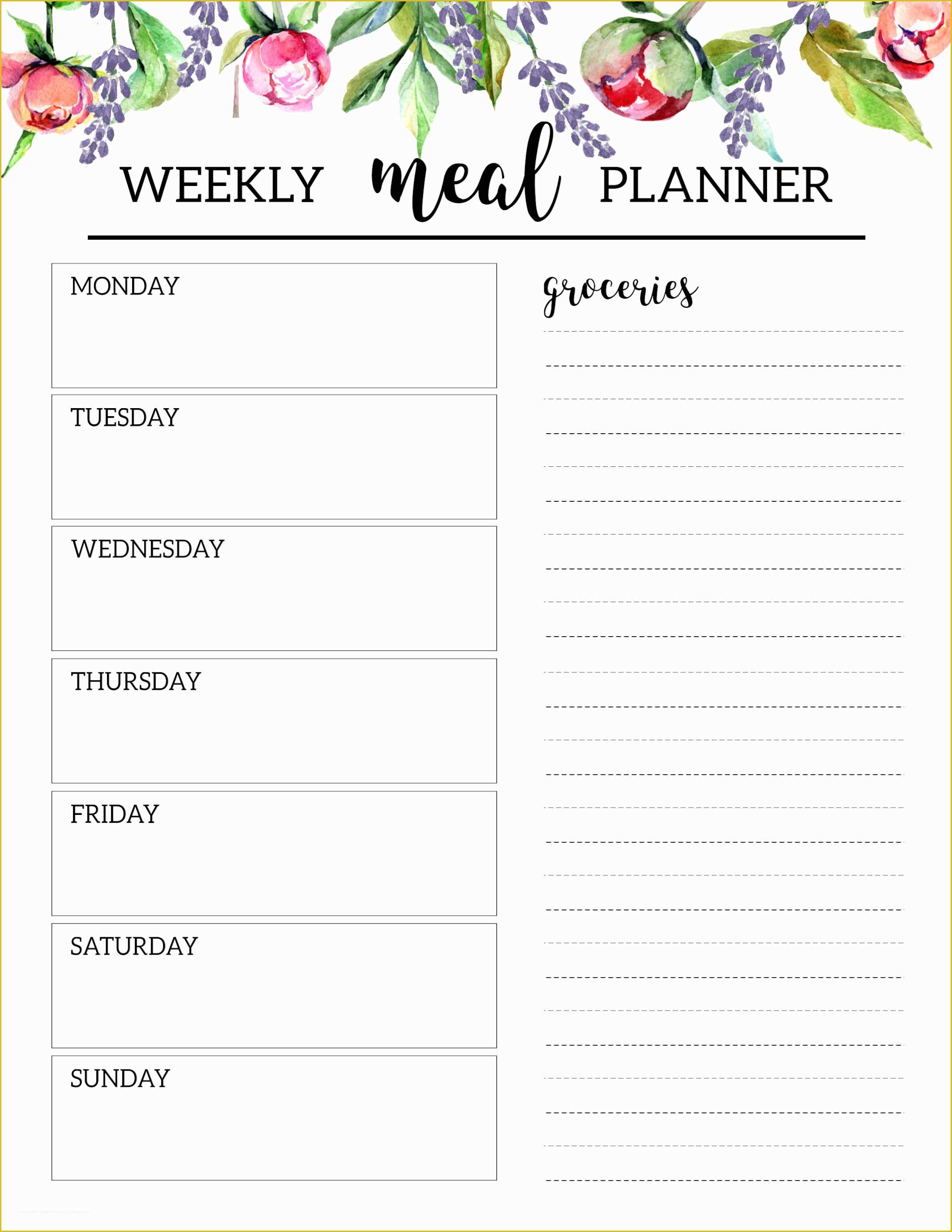 Daily Food Plan Template