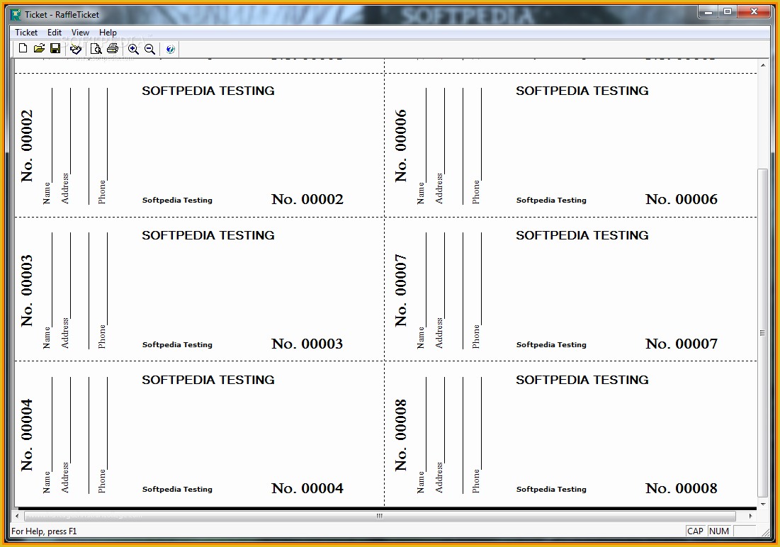 Blank Raffle Tickets Printable