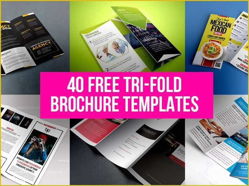 Free Printable Tri Fold Brochure Templates Of Blank Tri Fold Brochure 