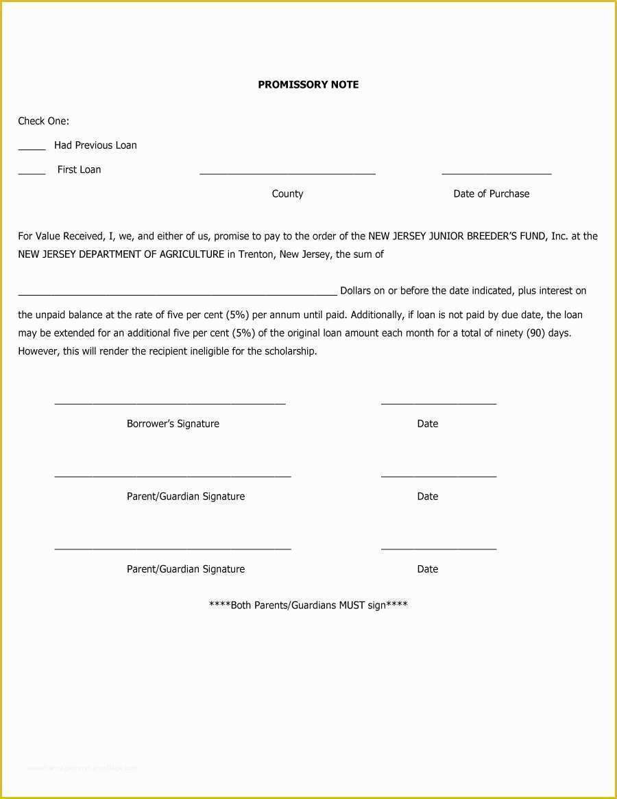 Free Promissory Note Template for A Vehicle Of Vehicle Promissory Note ...