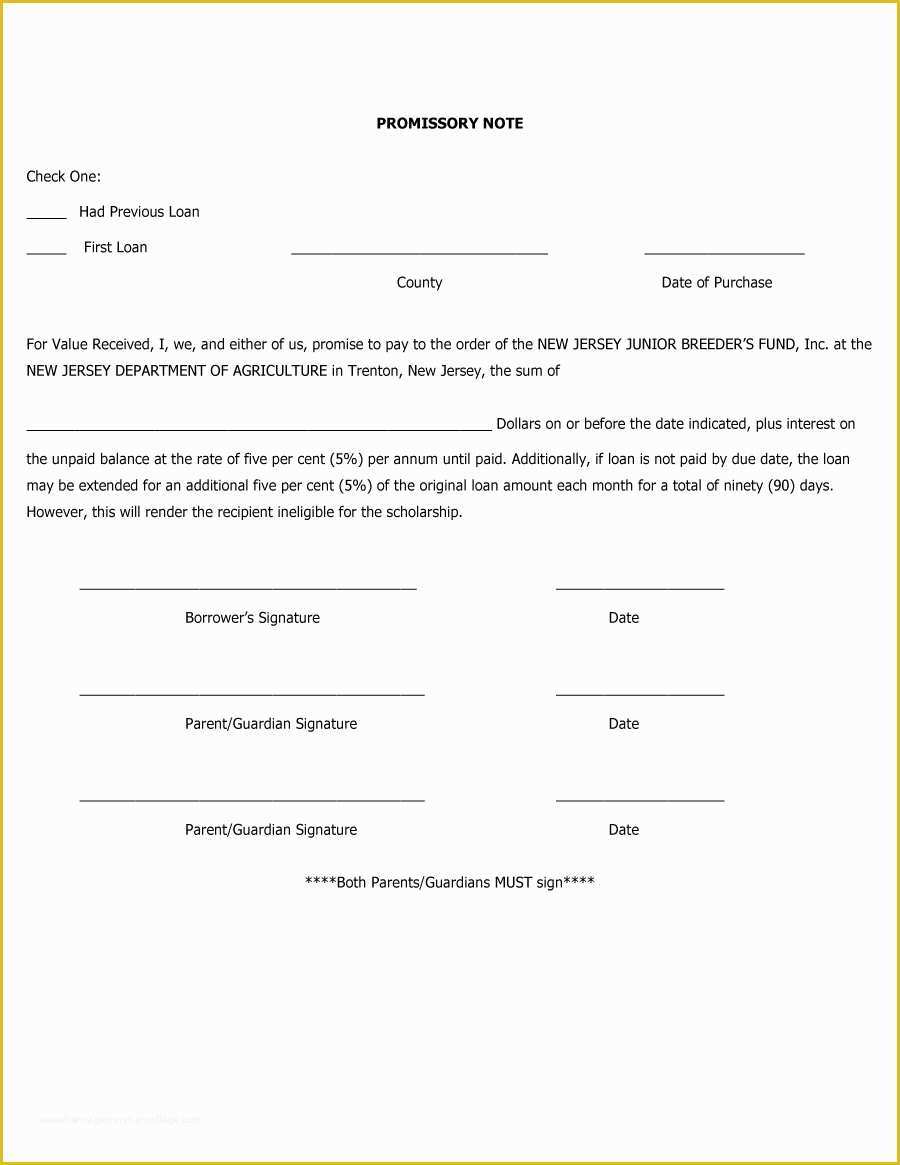 Free Promissory Note Template Of 45 Free Promissory Note Templates 