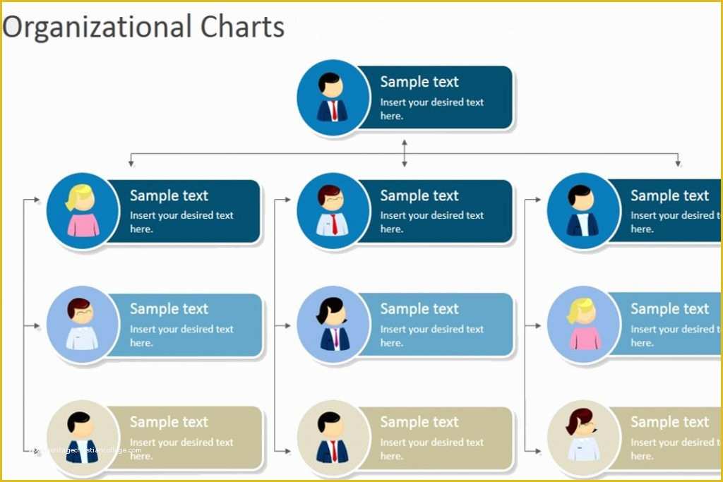 Which Hierarchical Chart Shows Resources