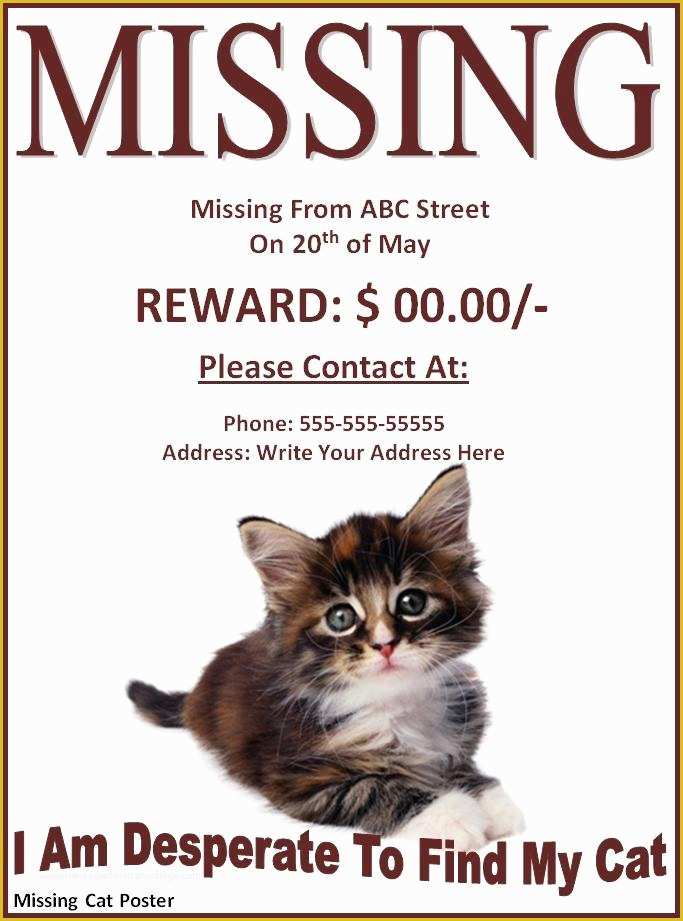  Lost Cat Poster Template Free Of 10 Missing Lost Pet Poster Templates 