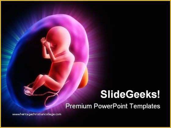 Medical Powerpoint Templates Free Download 2017 Of Fetus Powerpoint 