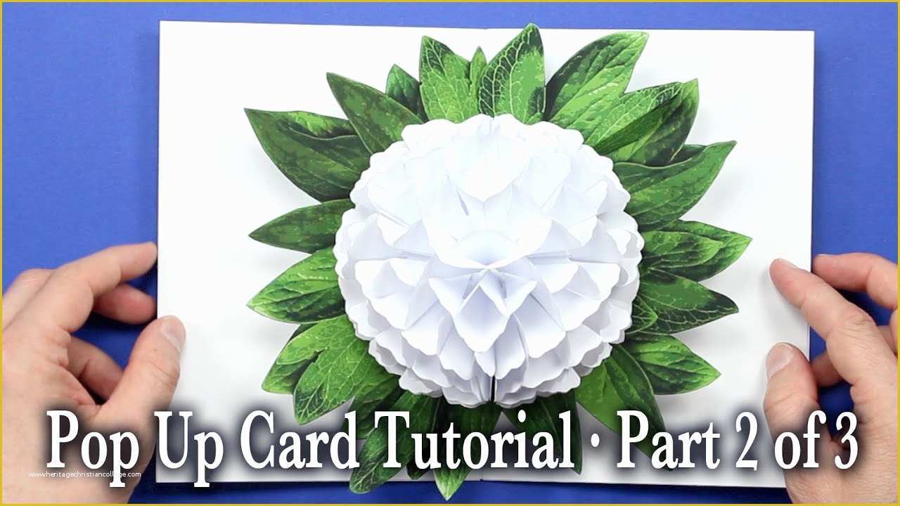 Pop Up Card Templates Free Download Of Flower Pop Up Card Tutorial Part 2 Of 3 