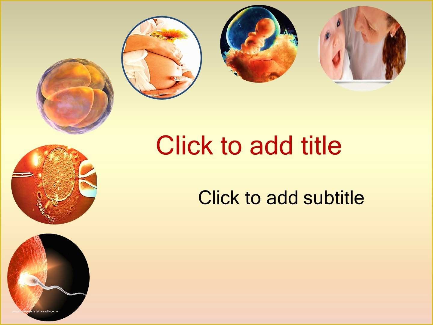 Powerpoint Templates Free Download Of Gynecology Obstetrics 