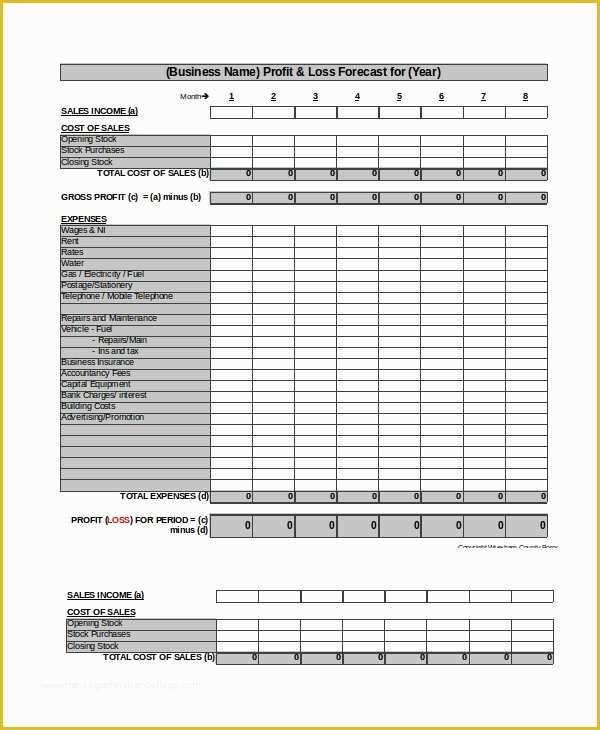 Profit And Loss Statement Excel Template Free Of 12 Profit And Loss 