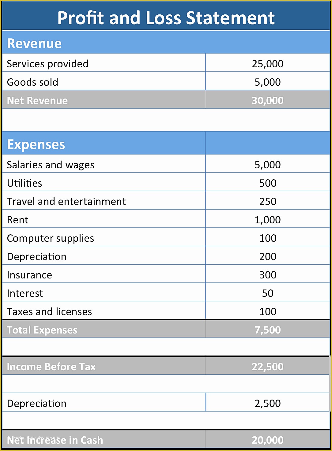 10 Profit And Loss Statement Ideas Profit And Loss Statement 