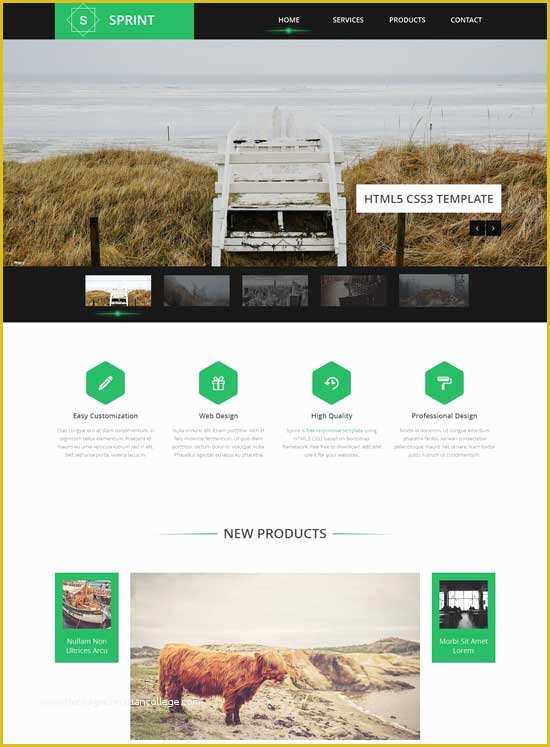 Responsive Website Templates Free Download HTML5 With Css3 Of 