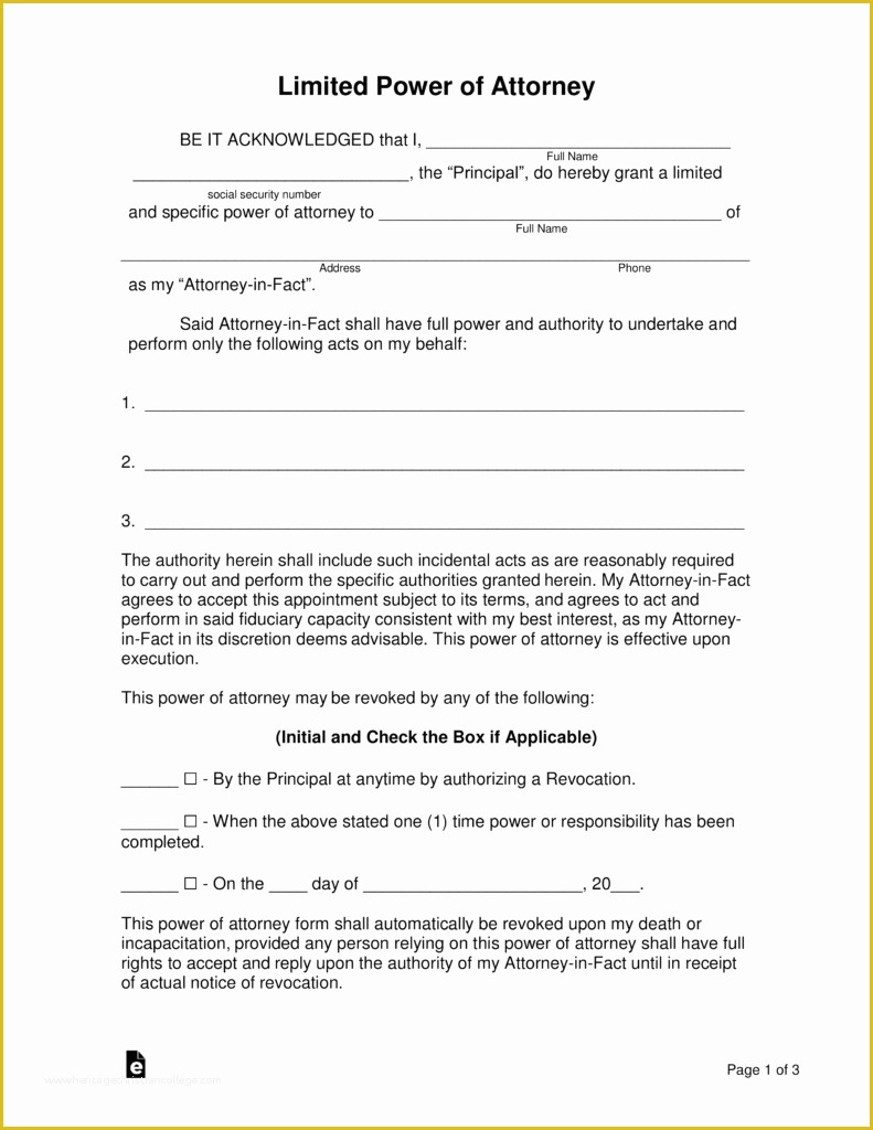 Power Of Attorney Form In Spanish Pdf