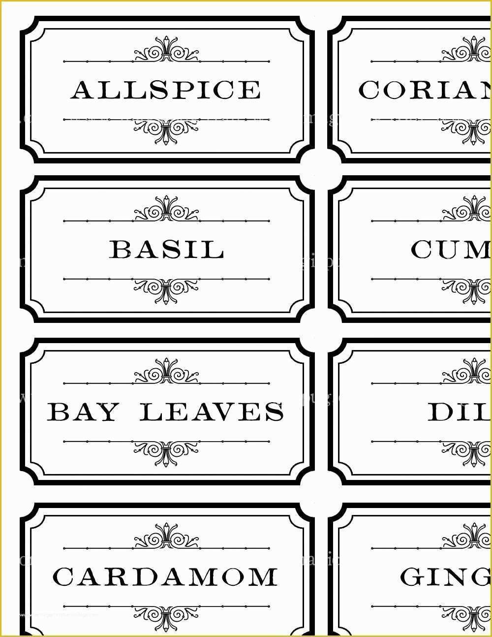Editable Downloadable Spice Labels Printable Free