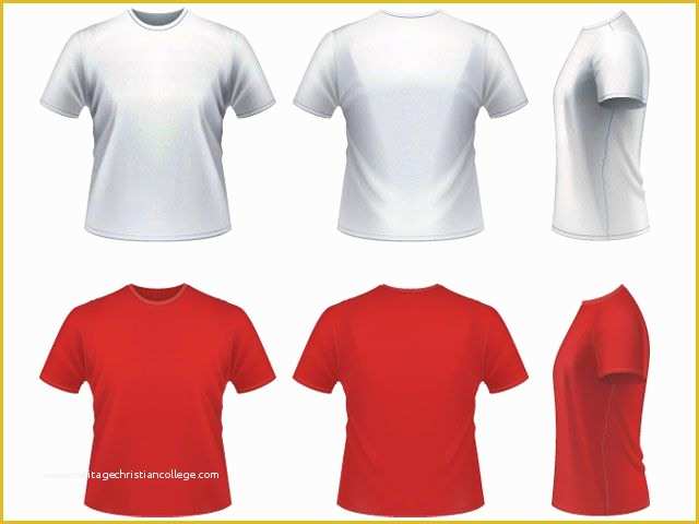 T Shirt Template Vector Free Download Of T Shirt Template Blank · Free ...